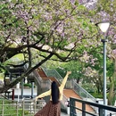 麓湖公园 - 广州市旅游 缩略图 1