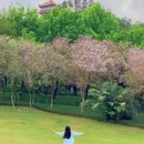 麓湖公园 - 广州市旅游 缩略图 7