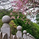 直涌尾公园 - 佛山市旅游 缩略图 8