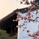 莫愁湖公园 - 南京市旅游 缩略图 4