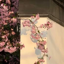 莫愁湖公园 - 南京市旅游 缩略图 1