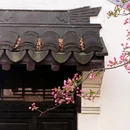 莫愁湖公园 - 南京市旅游 缩略图 6