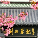 莫愁湖公园 - 南京市旅游 缩略图 7