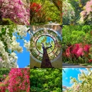 燕晗山郊野公园 - 深圳市旅游 缩略图 1