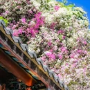 燕晗山郊野公园 - 深圳市旅游 缩略图 4
