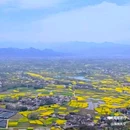 皇塘田园花乡-正门 - 汉中市旅游 缩略图 7