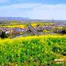 皇塘田园花乡-正门 - 汉中市旅游 缩略图 5