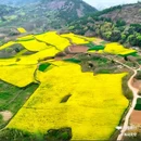 皇塘田园花乡-正门 - 汉中市旅游 缩略图 3
