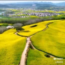 皇塘田园花乡-正门 - 汉中市旅游 缩略图 1