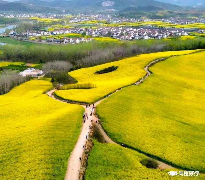 皇塘田园花乡-正门 - 汉中市旅游 1