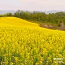 皇塘田园花乡-正门 - 汉中市旅游 缩略图 9