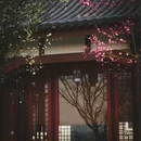平乐寺 - 成都市旅游 缩略图 5