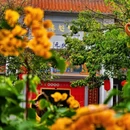黎冲村大宗公园 - 佛山市旅游 缩略图 7