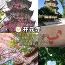 开元寺景区 - 泉州市旅游 缩略图 5
