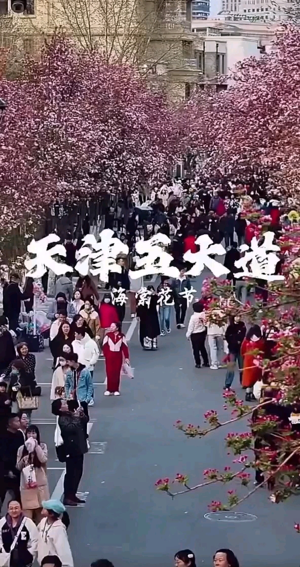 经典假日酒店(天津西青大学城店) - 天津旅游