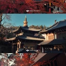 泰安溪美隐居酒店(泰山岱庙店) - 泰安市旅游 缩略图 1