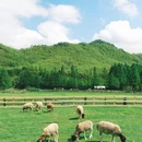 泰安溪美隐居酒店(泰山岱庙店) - 泰安市旅游 缩略图 6
