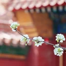 华尔润智能酒店(常州新北区奔牛机场店) - 常州旅游 缩略图 3