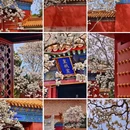 华尔润智能酒店(常州新北区奔牛机场店) - 常州旅游 缩略图 1