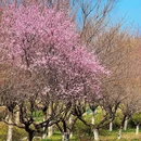 江南雪村 - 常州市旅游 缩略图 2
