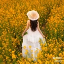 西安蓝田玉山油菜花观赏点 - 西安市旅游 缩略图 3