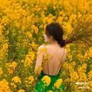 西安蓝田玉山油菜花观赏点 - 西安市旅游 缩略图 5