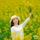西安蓝田玉山油菜花观赏点 - 西安市旅游 缩略图 4