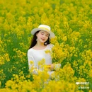 西安蓝田玉山油菜花观赏点 - 西安市旅游 缩略图 6