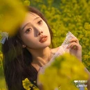西安蓝田玉山油菜花观赏点 - 西安市旅游 缩略图 7