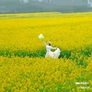 西安蓝田玉山油菜花观赏点 - 西安市旅游 缩略图 8
