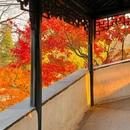 虎丘山风景名胜区 - 苏州市旅游 缩略图 5