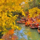 虎丘山风景名胜区 - 苏州市旅游 缩略图 6