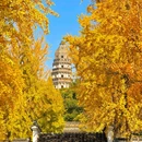 虎丘山风景名胜区 - 苏州市旅游 缩略图 9