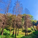 云溪植物园 - 广州市旅游 缩略图 7