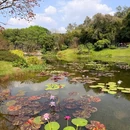 云溪植物园 - 广州市旅游 缩略图 9