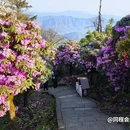 云孚里云宿·云水居私汤度假民宿(峨眉山游客中心店) - 乐山市旅游 缩略图 4