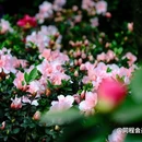 云孚里云宿·云水居私汤度假民宿(峨眉山游客中心店) - 乐山市旅游 缩略图 8