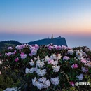 云孚里云宿·云水居私汤度假民宿(峨眉山游客中心店) - 乐山市旅游 缩略图 9