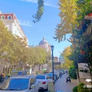 临江东路 - 丽水市旅游 缩略图 3