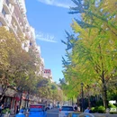 临江东路 - 丽水市旅游 缩略图 1