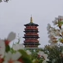 朱樱塔 - 洛阳市旅游 缩略图 1