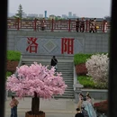 朱樱塔 - 洛阳市旅游 缩略图 4