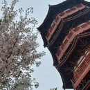 朱樱塔 - 洛阳市旅游 缩略图 5