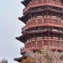朱樱塔 - 洛阳市旅游 缩略图 7