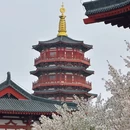 朱樱塔 - 洛阳市旅游 缩略图 8