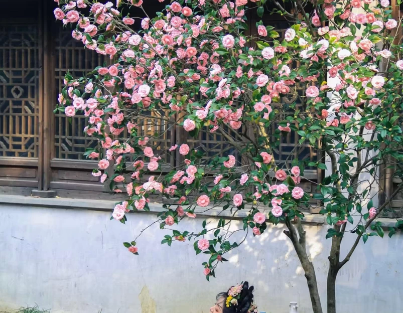 惠山古镇 - 无锡市旅游 1