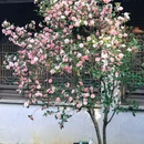 惠山古镇 - 无锡市旅游 缩略图 4