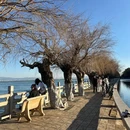 磊楼 - 昆明市旅游 缩略图 7