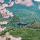 婺城区逸境·宋酒店(古子城步行街店) - 金华市旅游 缩略图 8