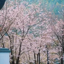 婺城区逸境·宋酒店(古子城步行街店) - 金华市旅游 缩略图 6